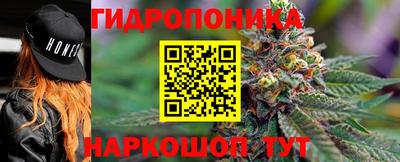 бошки Бийск
