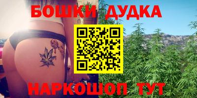 прущие грибы Беслан