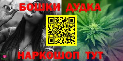 бошки Бийск