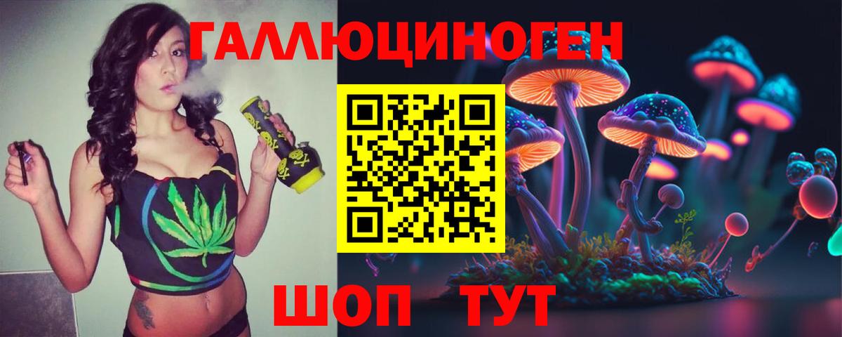 Псилоцибиновые грибы Psilocybe  Галлюциногенные грибы прущие грибы  Грязи  Вход с VPN 